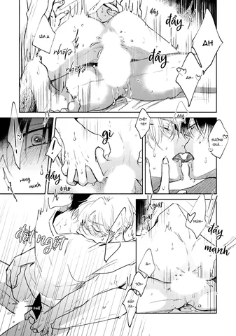 Bạn Đời Của Tôi Là Một Omega Thuần