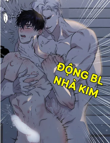 Mảnh Vỡ Của Ánh Trăng